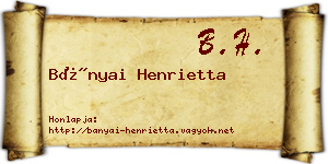 Bányai Henrietta névjegykártya